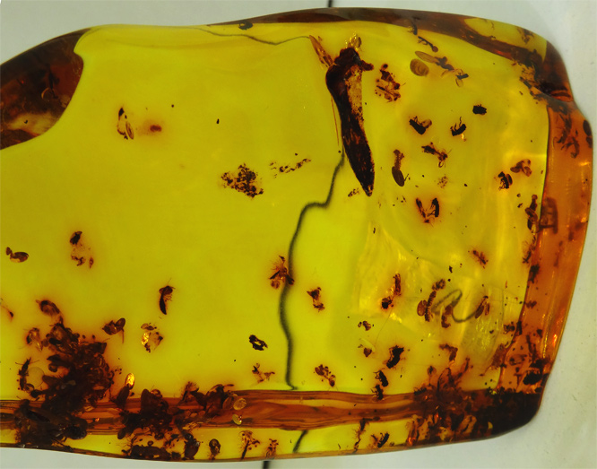 Ein herrliches Stück Bernstein, ca. 65 mm hoch