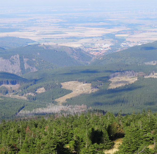 Sicht auf Ilsenburg