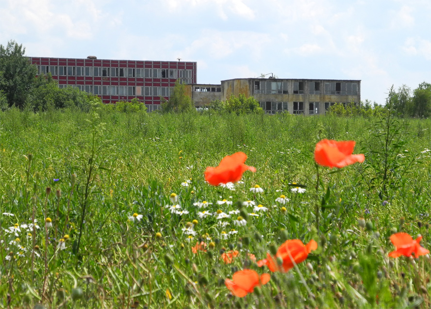 Das ehemalige SVKE Eberswalde