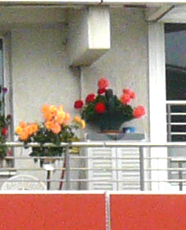 Rauschminderung Standard