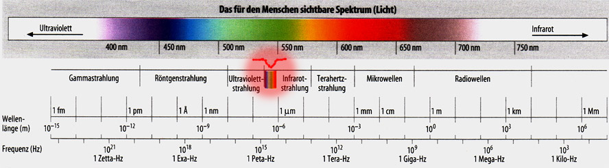 Die Wahrnehmung des Menschen ist stark eingeschränkt