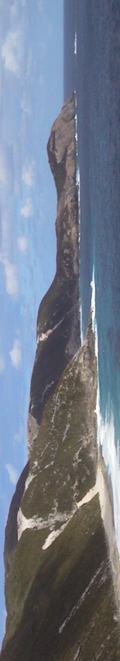 Ausflug zum Bald Head, Albany