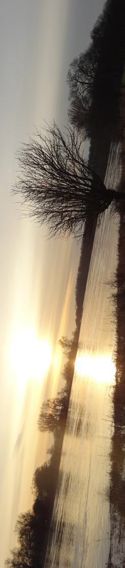 An der Elbe bei Dornburg