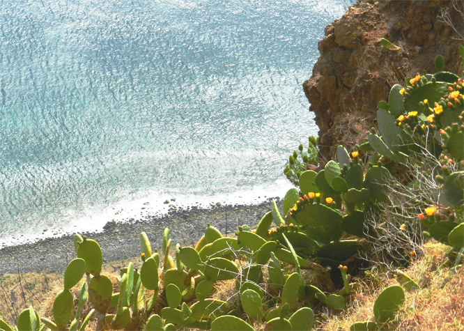 Steilküste am Ponta do Pargo