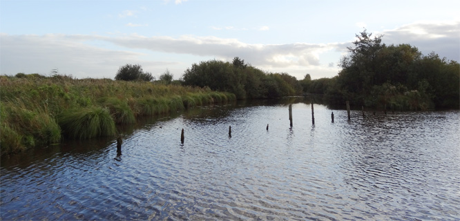 Landschaft bei Timmel