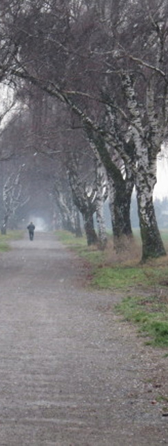 Testfotos Canon SX50 HS