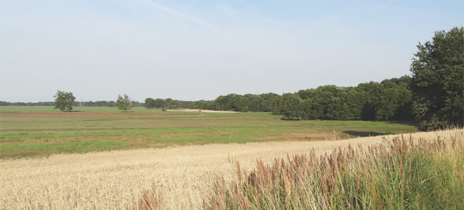 Dornburg, 24.07.2013