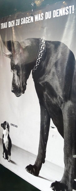 Kiosk am Heinrichplatz