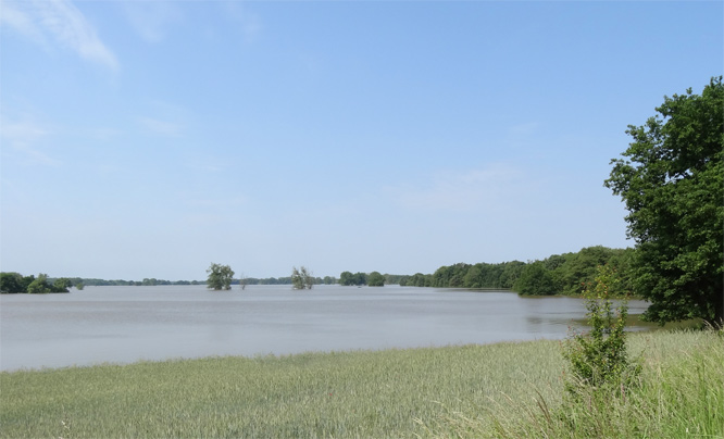 Hochwasser Elbe Dornburg
