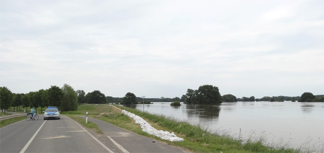 Hochwasser Elbe Elbenau