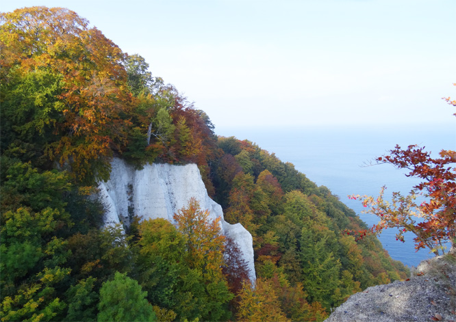 Sonne am Königsstuhl