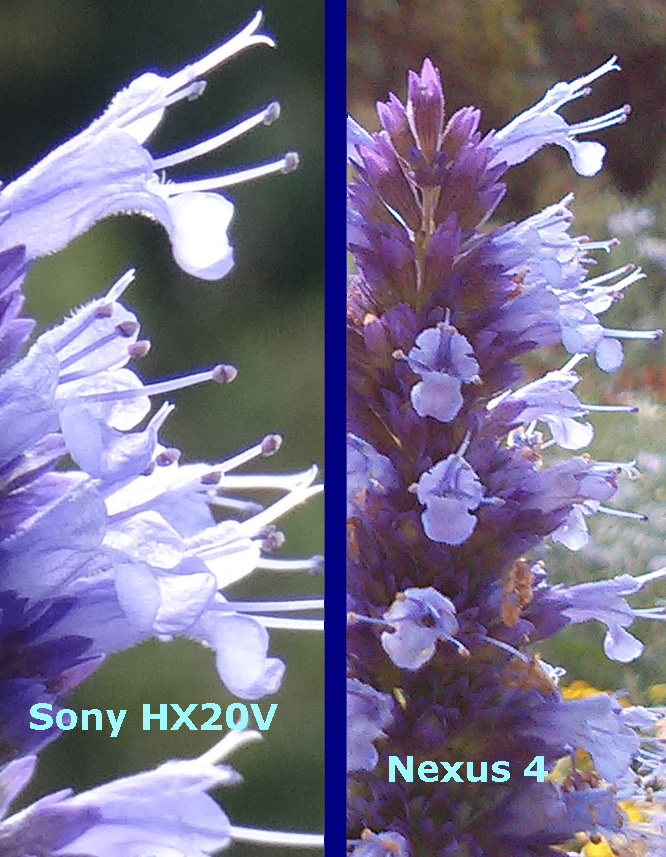 Vergleich Nexus 4 mit HX20V