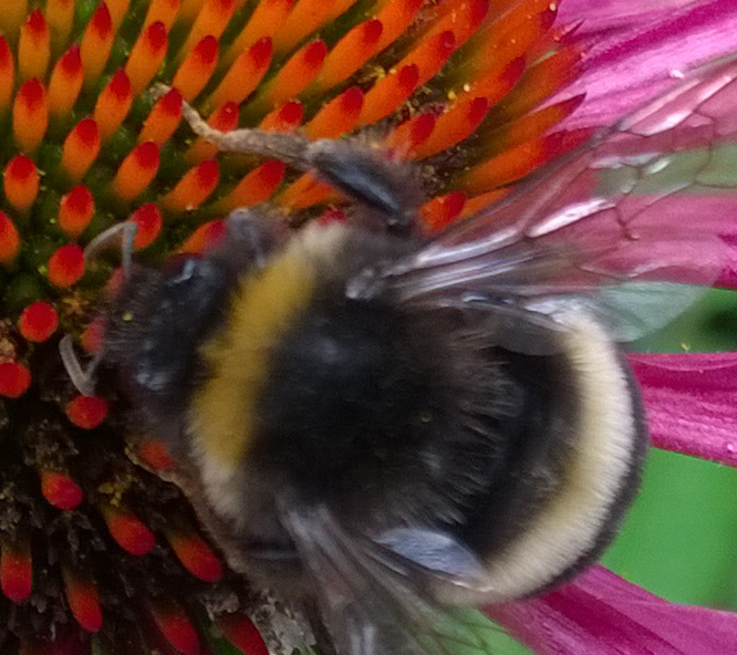 Fotografiert mit Lumia 925