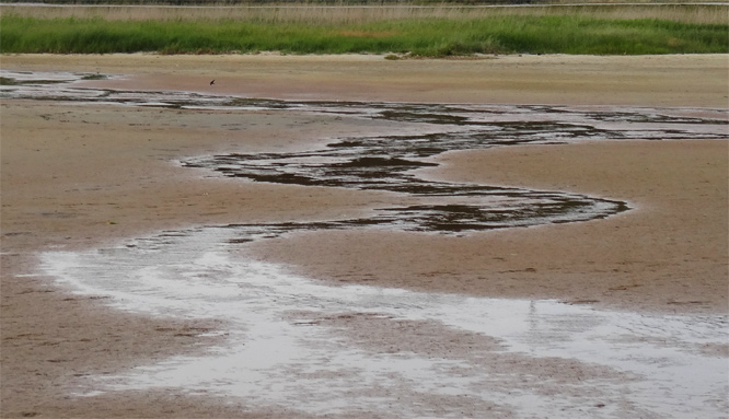 Terschelling - Wattenmeer