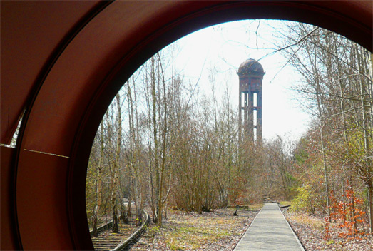 Natur-Park Schöneberger Südgelände, Berlin