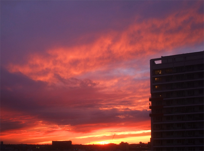 Sunset Berlin, 11.11.2008