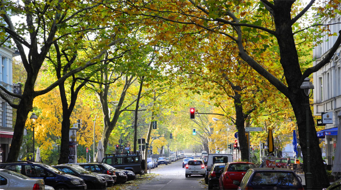 Herbstsonne - 31. Oktober 2010