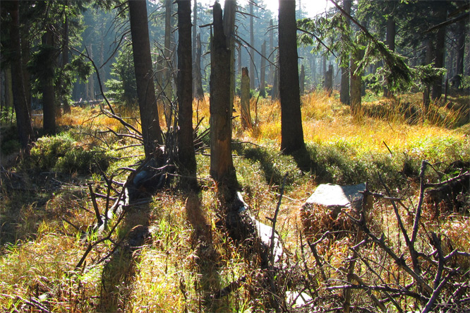 Brocken Oktober 2010
