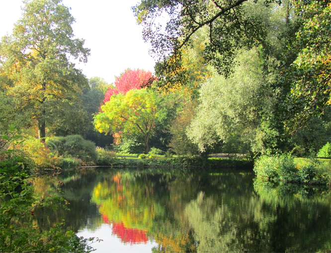 Herbst im Tiergarten