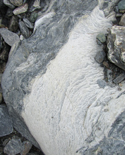 Ein Stein im Bergbach